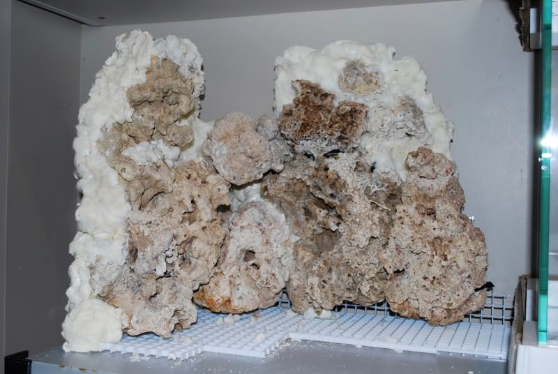 DIY Foam Rock Wall Build Thread Bay Area Reefers BAR